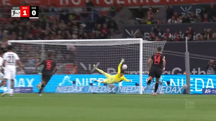 判法鹰门将, 将后入网, entit